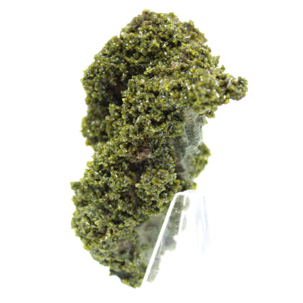 Cristaux d’épidote du Maroc sur gangue beige