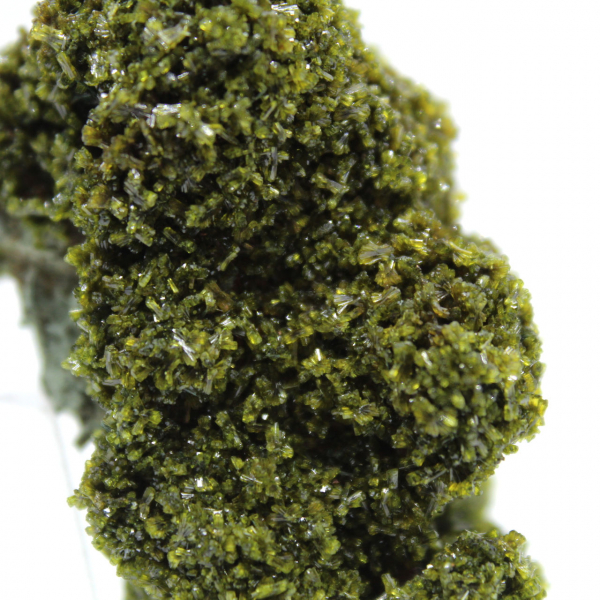 Cristaux d’épidote du Maroc sur gangue beige