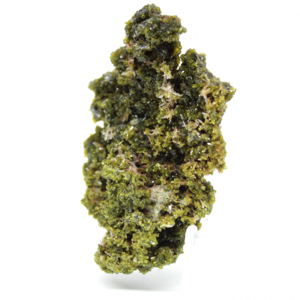 Petite épidote sur gangue claire du Maroc