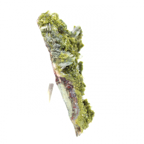 Épidote marocaine sur matrice beige