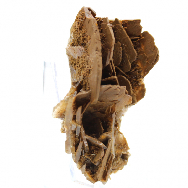 Mini spécimen de Barytine du Maroc