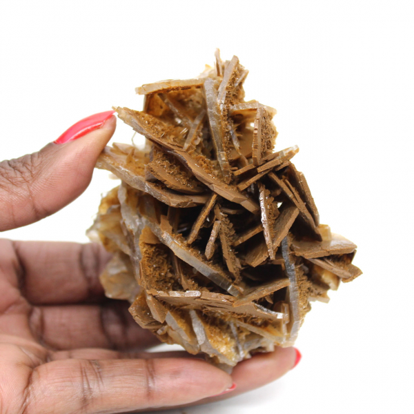 Petite Barytine brune marocaine