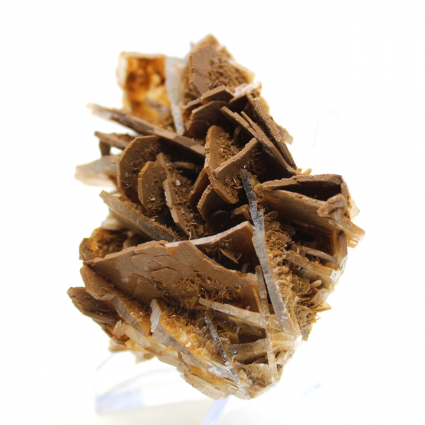 Petite Barytine brune marocaine