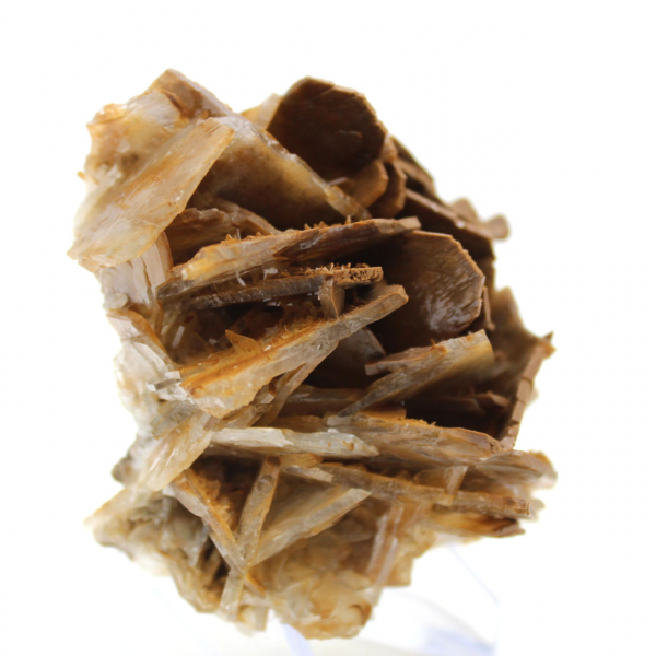 Petite Barytine brune marocaine