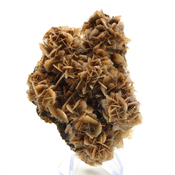 Barytine brune translucide du Maroc