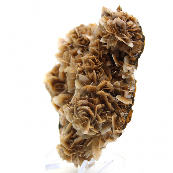 Barytine brune translucide du Maroc