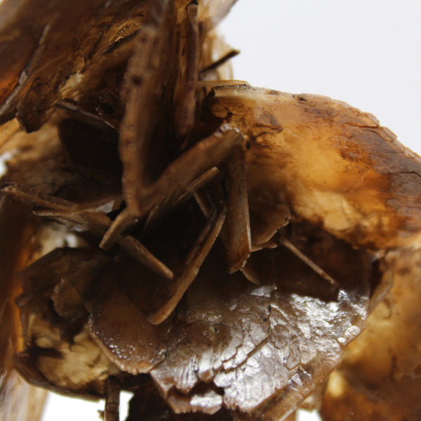 Micro cristaux de Barytine du Maroc