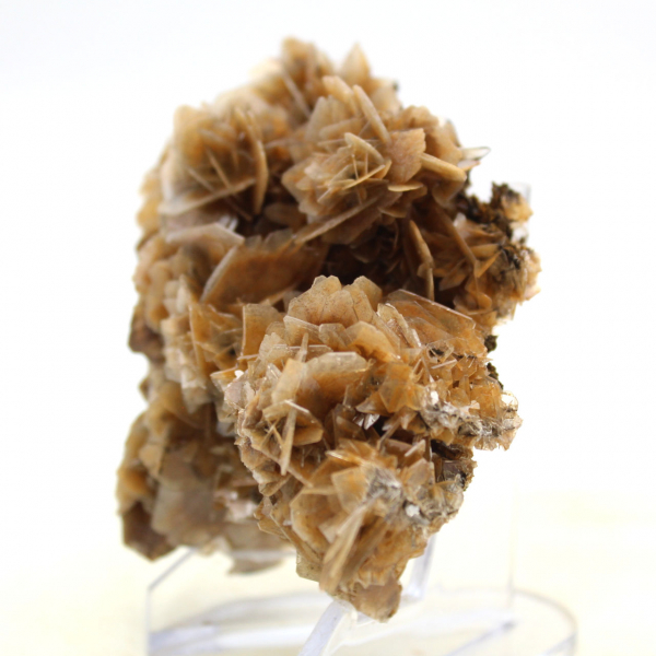 Barytine marocaine à structure fine