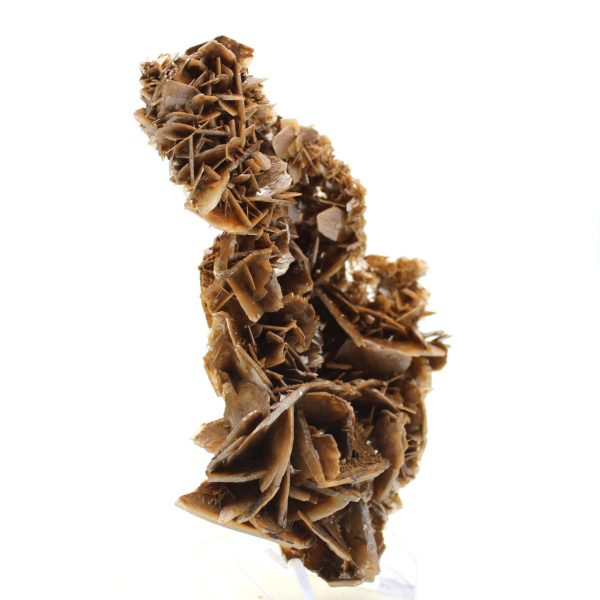 Cristaux dorés de Barytine marocaine