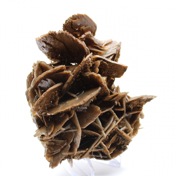 Barytine brune cristallisée du Maroc