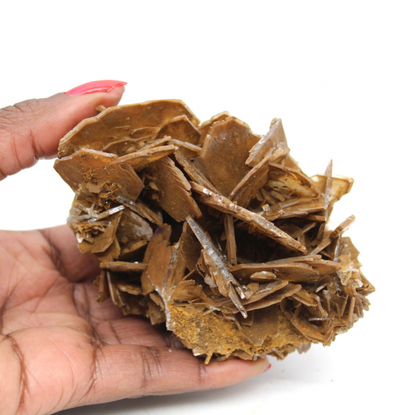 Cristallisation brune de Barytine du Maroc