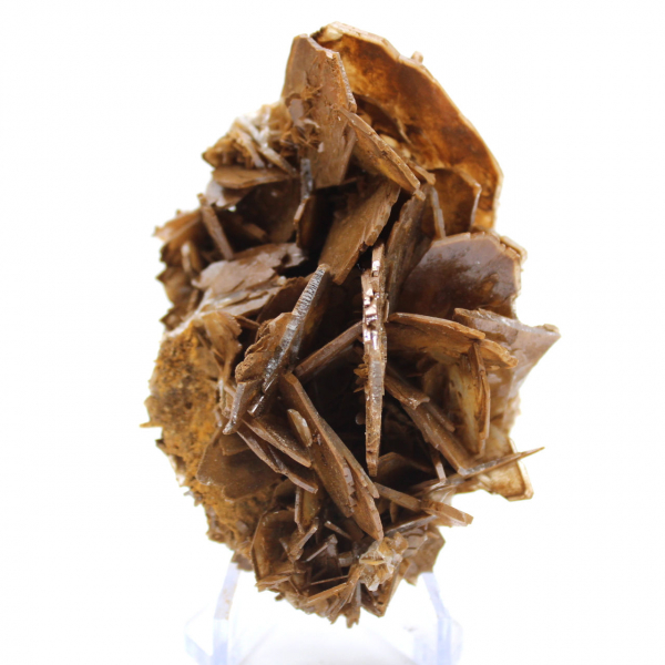 Cristallisation brune de Barytine du Maroc