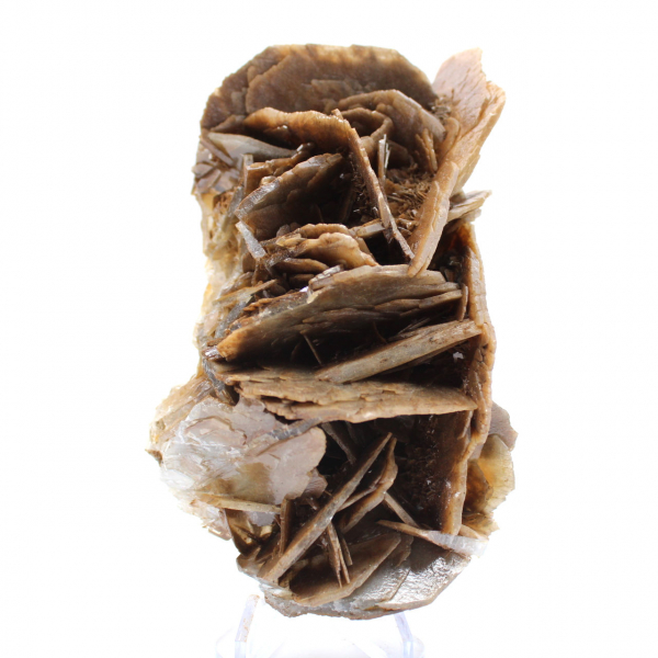 Cristaux de Barytine brune du Maroc