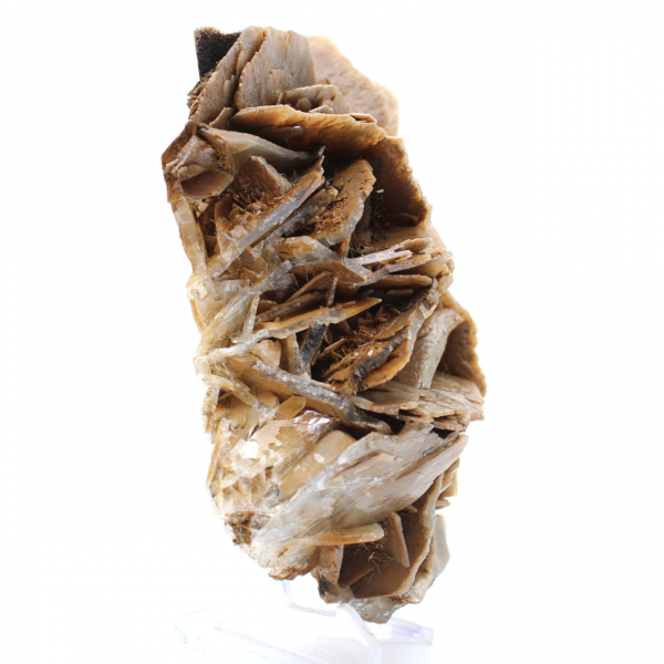 Cristaux de Barytine brune du Maroc