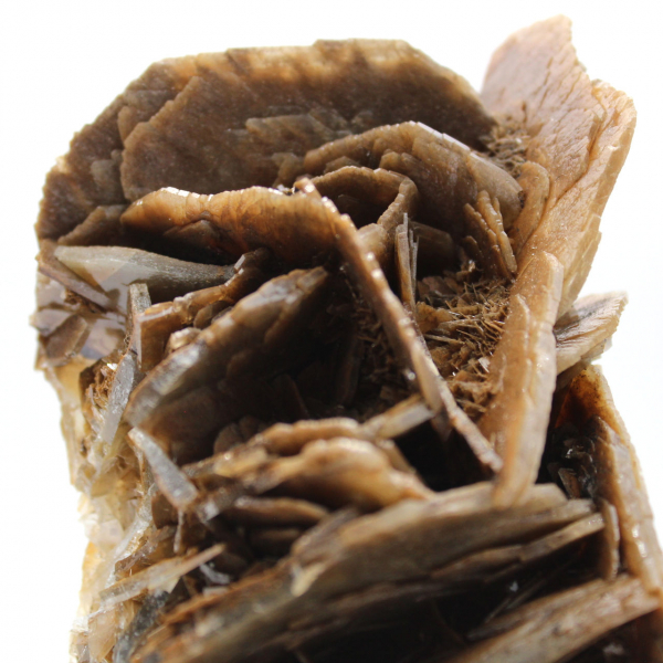 Cristaux de Barytine brune du Maroc