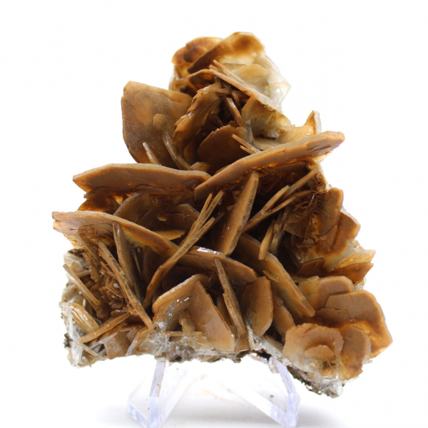 Cristaux bruns de Barytine de Ouichane