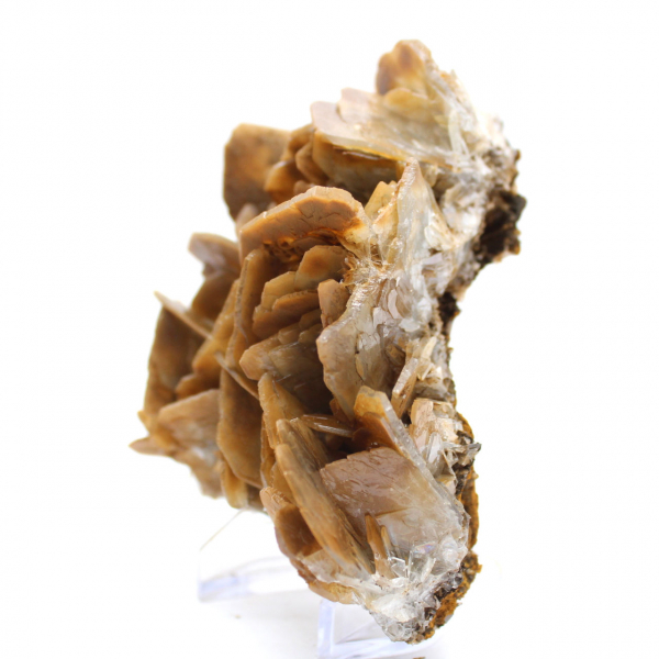 Cristaux bruns de Barytine de Ouichane