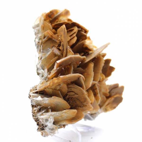 Cristaux bruns de Barytine de Ouichane