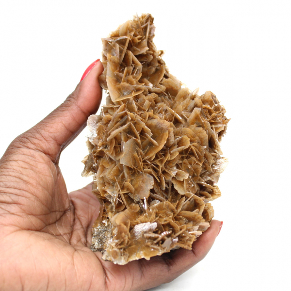 Pièce de Barytine marocaine à cristaux bruns