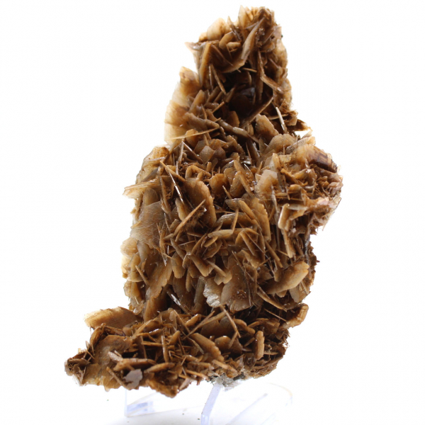 Pièce de Barytine marocaine à cristaux bruns