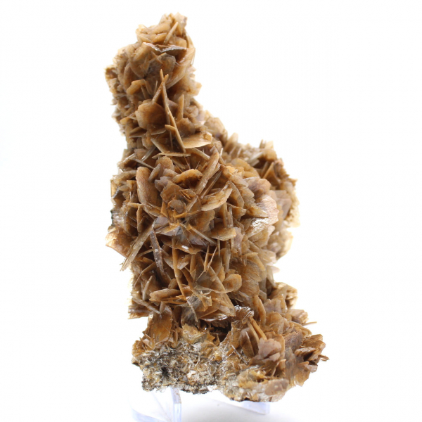 Pièce de Barytine marocaine à cristaux bruns