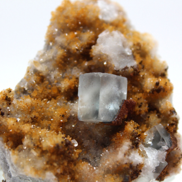 Très petit spécimen Fluorite : Cristaux verts Maroc