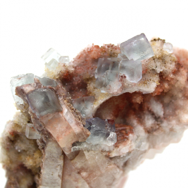 Cristaux de Fluorite brute : Pièce du Maroc sur gangue