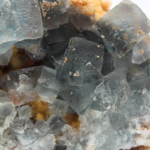 Spécimen de Fluorite sur gangue : Cristaux du Maroc authentiques