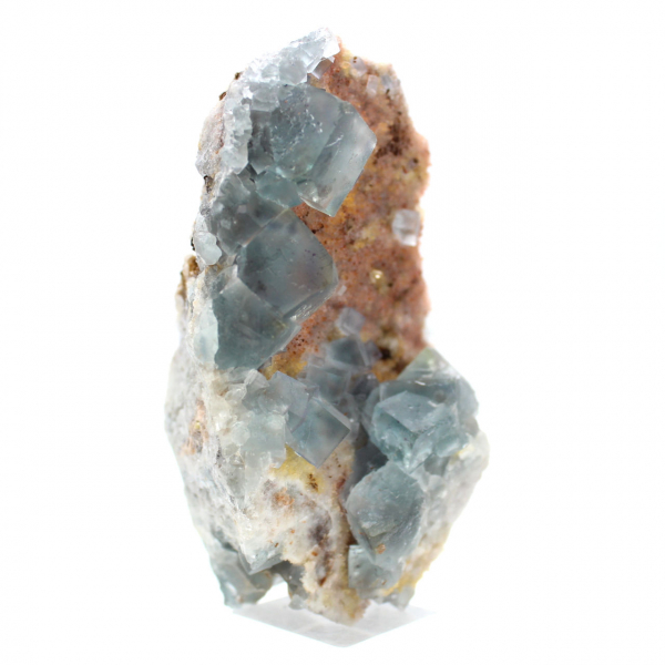 Fluorite naturelle verte : Échantillon sur roche pour collection