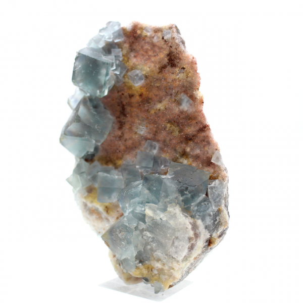 Fluorite naturelle verte : Échantillon sur roche pour collection