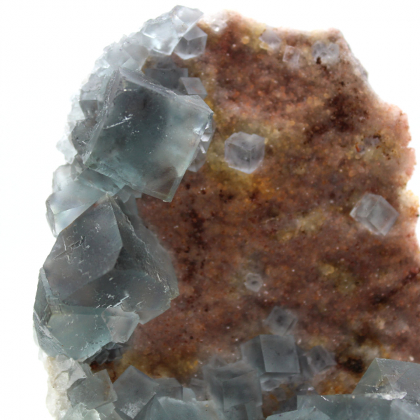 Fluorite naturelle verte : Échantillon sur roche pour collection