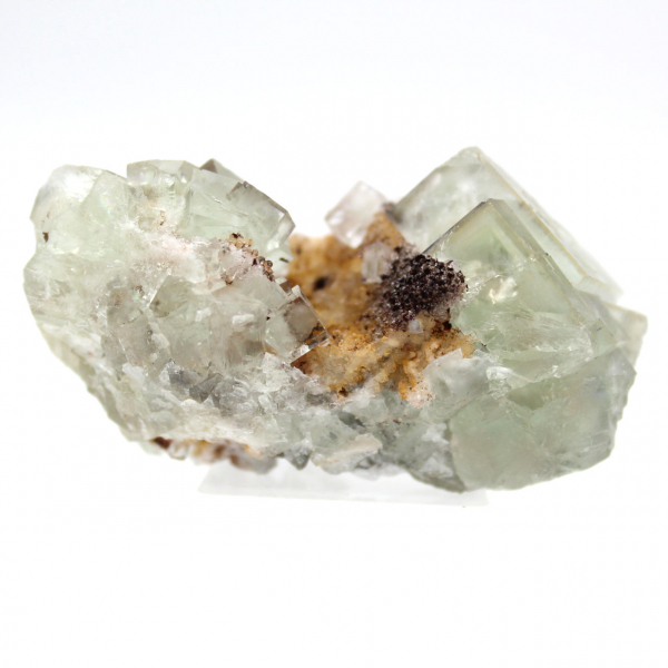 Pierre de Fluorite brute : Très petit modèle Maroc