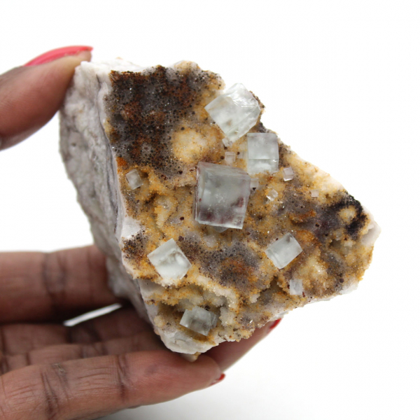 Fluorite verte de collection : Petit spécimen sur gangue