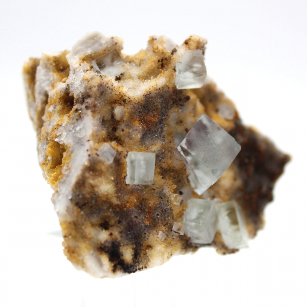 Fluorite verte de collection : Petit spécimen sur gangue