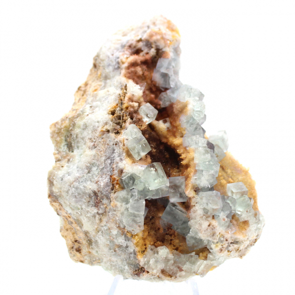 Roche de Fluorite verte : Grand cristal sur sa gangue