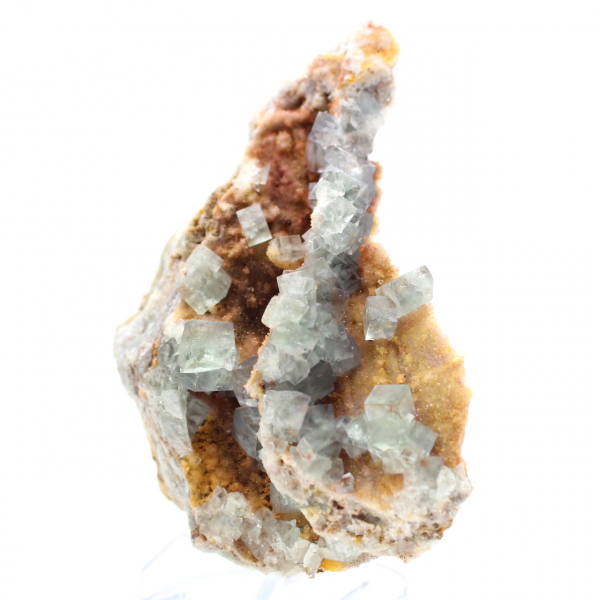 Roche de Fluorite verte : Grand cristal sur sa gangue