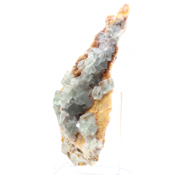 Roche de Fluorite verte : Grand cristal sur sa gangue