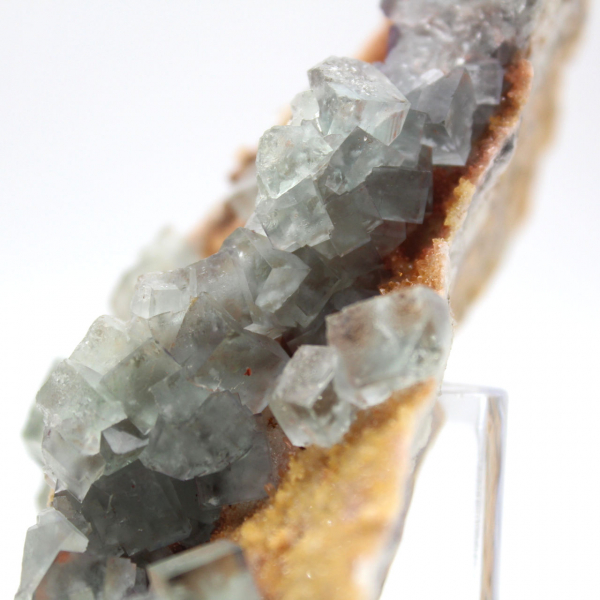 Roche de Fluorite verte : Grand cristal sur sa gangue