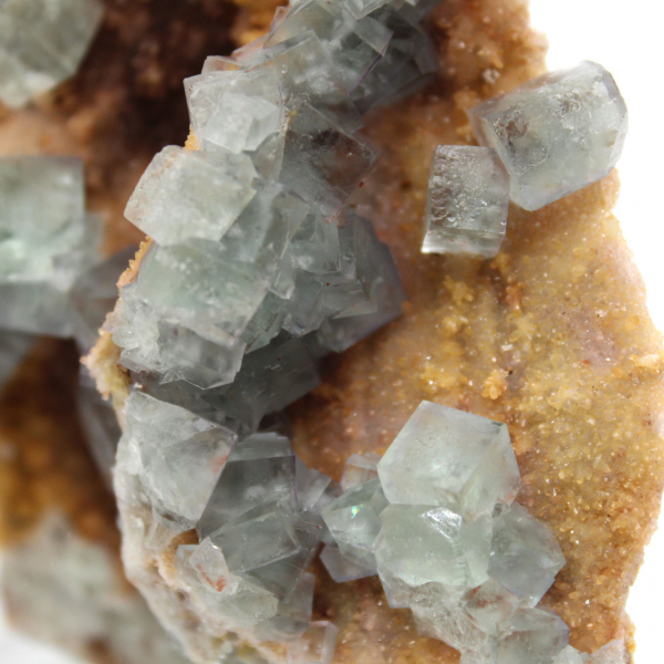 Roche de Fluorite verte : Grand cristal sur sa gangue