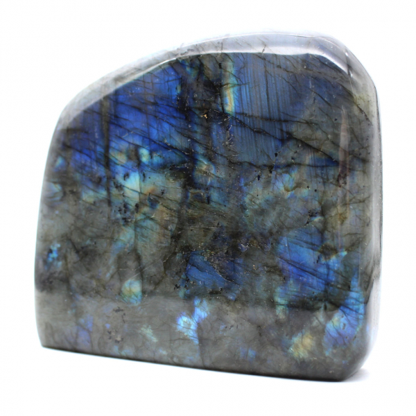 Grande Labradorite Polie pour Collectionneurs