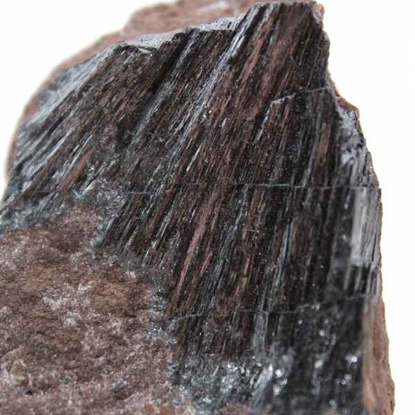 Pyrolusite, Roche de Collection Compacte Maroc