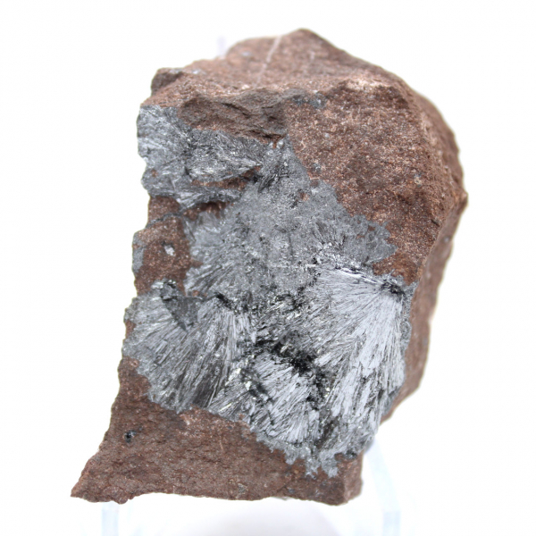 Petite Pyrolusite Cristallisée sur Matrice Authentique