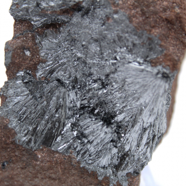 Petite Pyrolusite Cristallisée sur Matrice Authentique