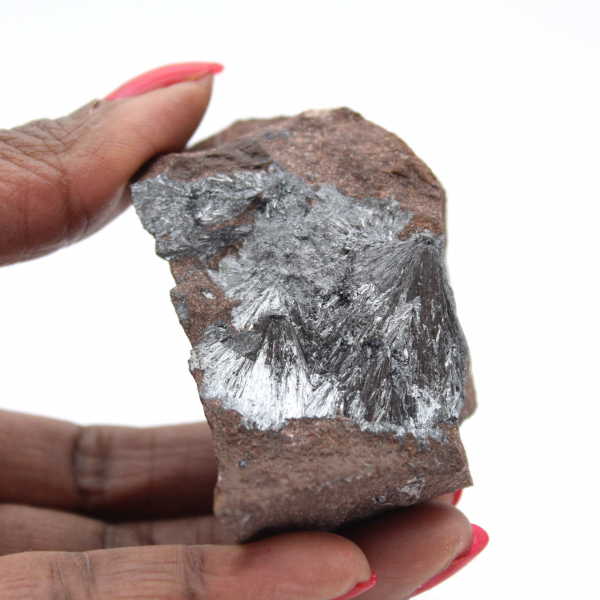 Petite Pyrolusite Cristallisée sur Matrice Authentique