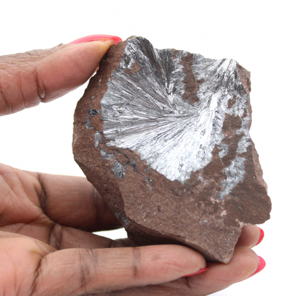 Grande Pièce de Pyrolusite Cristallisée Collection