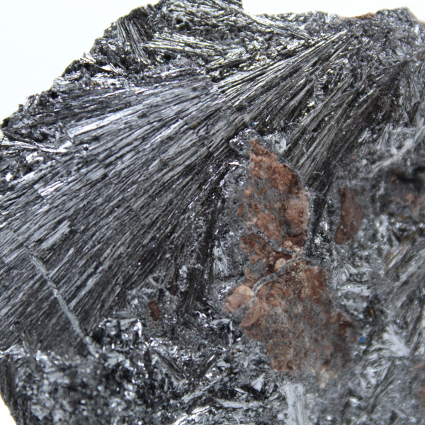 Pyrolusite sur Gangue, Collection et Décoration
