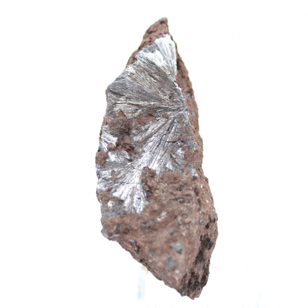 Cristaux de Pyrolusite Bruts, Spécimen Long