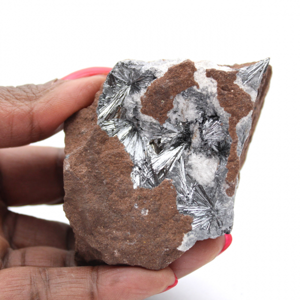 Pyrolusite, Spécimen Minéralogique avec Matrice