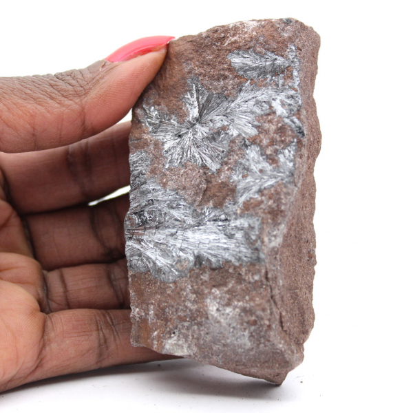 Pyrolusite du Maroc, Cristaux Minéraux pour Collection