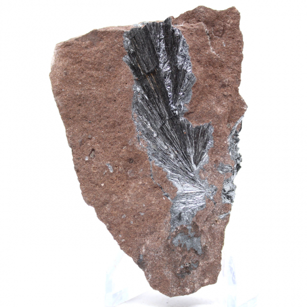 Authentique Pyrolusite en Cristaux sur Matrice